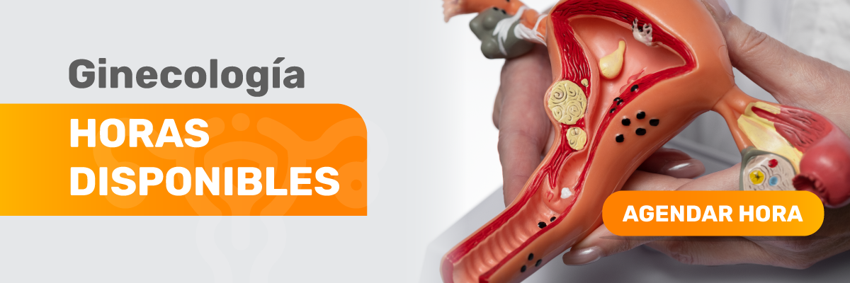 Horas disponibles en Ginecología